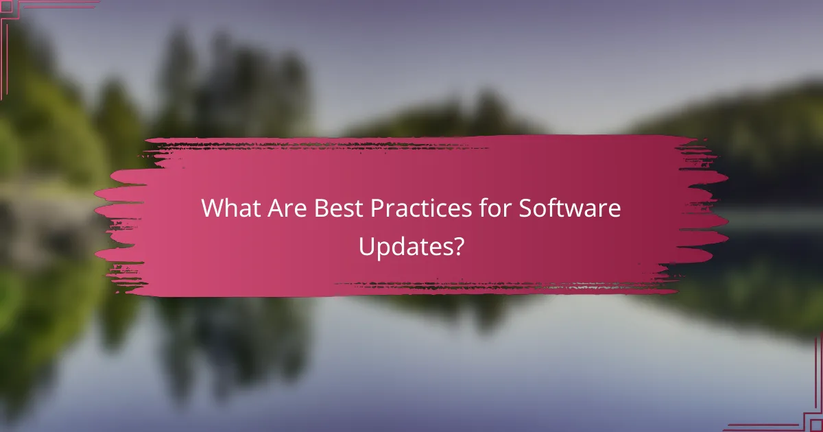 What Are Best Practices for Software Updates?