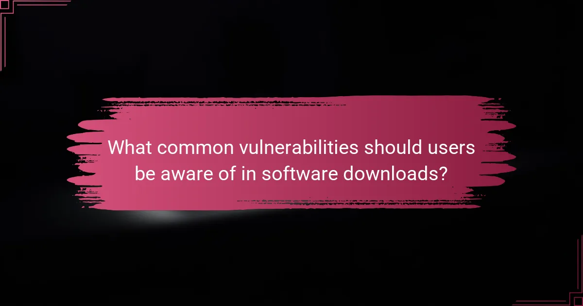 What common vulnerabilities should users be aware of in software downloads?