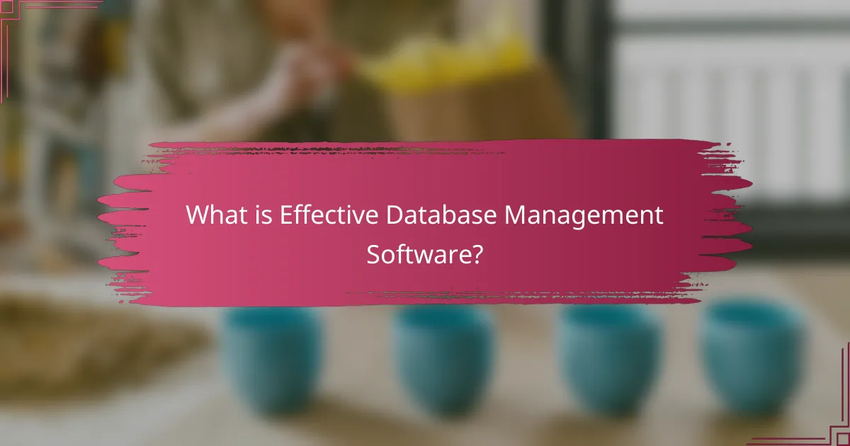 What is Effective Database Management Software?